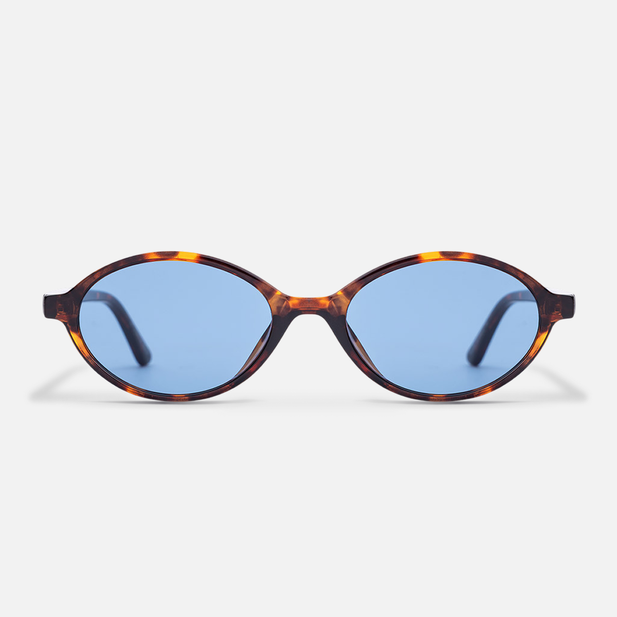 #color_tort blue